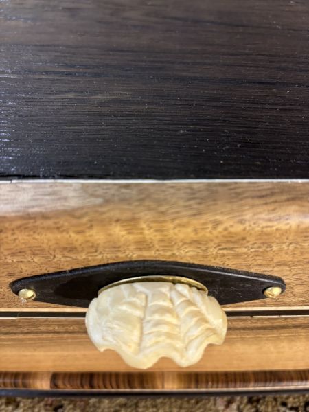 v horní části je vidět subfosilní dub